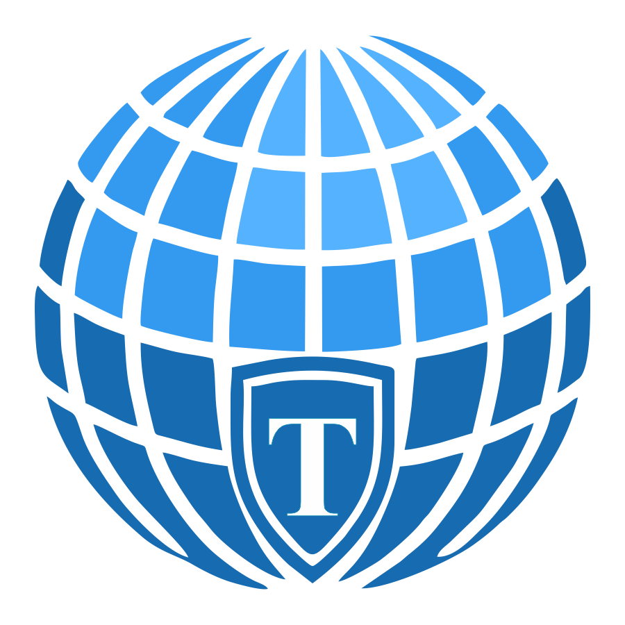 TIN GEO